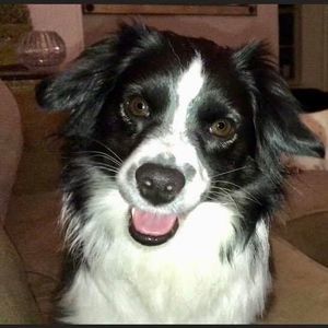 Meet your Posher, Cheryl